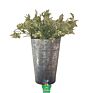 Galvanized Zinc Wall Planter Decor Half round Bucket Metal Wall Hanging Pot Outdoor and Indoor