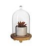 Glass Cloche Bell Jar Custom Large Small Bell Glass Cloche