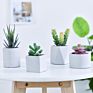 Green Individual Mini Faux Fake Artificial Succulent Cactus Plant Bonsai Succulent Assorted Set