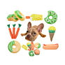 Handmade Knit Molar Jouet Pour Chien Cotton Rope Carrot Cotton Pet Rope Durable Chew Toy for Pets