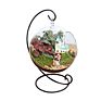Hanging Plant round Glass Vase Terrarium for Indoor Decoration