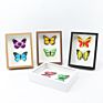 High- Wood-Based Panel 3D Diy Single Photo Wooden Picture Frame Photo Frames for Specimen