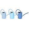 Blue shades indoor watering can ass
