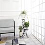 Metal Plant Stand