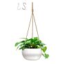 Joy Living 8 Inch Garden Decor Outdoor Indoor Plant Flower Hanging Ceramic Baskets Pots