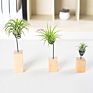 Lazy Plant Growing Holder Tillandsia Wooden Standing Holder Wooden Block Display Rack for Air Plant