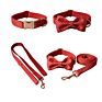 Luxury Red round Dots Dog Collar and Leashes Bow Tie Dog Cat Necklace with Metal Buckle for Pet Gifts