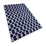 Machine Made Jacquard Geometric Pattern Rugs in Living Room