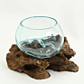 Melted Glass Vase on Driftwood Sculptural