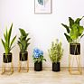 Metal Plant Stand Sets Flower Pot with Original Green Customized Style Vase Floor Color Decorative Plant Modern