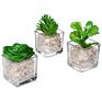 Mini Clear Glass Cube Planters Display Vases Artificial Succulent Plant Pots for Indoor Plants