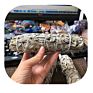 Natural California White Sage Smudging Wands Sticks for Leaf Smoky Purification