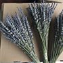 Natural Dried Lavender Flowers Packed in Buches for Home Decoration