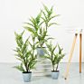Natural Real Touch Bonsai Fern Persian Leaves Artificial Plant Tree in Pot