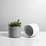 Nordic Indoor Gardening Planter Flower Pot Cement