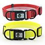 Pet Supplies Reflective Pvc Coated Nylon Strap Cute Flea and Tick Dog Collar for Dogs Cats
