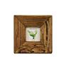 Photo Frames Direct Rustic Wooden Frame for Photos