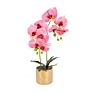Pink Artificial Simulation Phalaenopsis Bonsai Pot