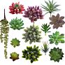 Price the Newest Artificial Succulent Plants Arrangement Faux Mini Cactus Succulents
