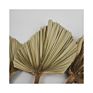 Products Outlet Palm Leaves Flowers Natural Dried Palm Leave for Wedding Home Decoration