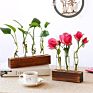 Propagation Test Tube Station 3 Glass Test Tube Vase Planter for Hydroponic Plants Home Garden Decoration - 3 Test Tube