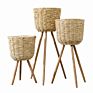 Rattan Plant Stand Plant Rattan Plant Stands Planters Basket Stand for Home Decor