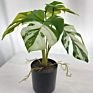 Real Touch Small Potted Monstera Variegated Plant Artificial Tree and Plant
