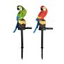 Resin Parrot Solar Light Outdoor Waterproof Garden Lawn Ground Plug Landscape Light