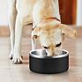 Sell Dog Food Bowl Double Wall Pet Food Feeding Stainless Steel Dog Bowl Anti-Slip Power Coated 9 Color in Stock