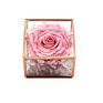 Small Rose Gold Glass Brass Jewelry Box