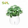 Sol Self-Watering Plant Natural Air Humidifier Planter Smart Indoor Herb Garden Ecological Negative Anion Flower Pots
