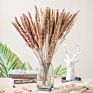 Top Sellers Decorative Indoor Grass Dried Flower Natural Color Pampas Grass for Home Decoration