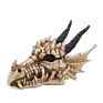 Unique Trinket Box Skull Dragon Head