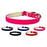 Velvet 3/8" Plain Cat W/ Band Collar