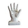 Vintage Porcelain Hand Vintage Palmistry Lines of the Human Hand