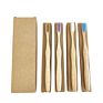 Without Painting Gourd Grip Bamboo Handle Dental Toothbrush Green Product in Stock Natural Adult Natural Healthy Disposable