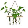 Wooden Stand Popular Hanging Planter Vase Glass Tube Hanging Plant Terrarium Container