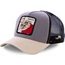 Anime Cartoon Mickey Donald Duck Embroidery Patch Snapback Men Women Hip Hop Cotton Baseball Cap Mesh Hat Trucker Hat