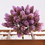 Artificial Mini Succulent and Cactus Succulent Pots Plant for Home Decoration