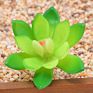 Price the Newest Artificial Succulent Plants Arrangement Faux Mini Cactus Succulents