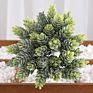 Artificial Mini Succulent and Cactus Succulent Pots Plant for Home Decoration