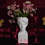 Gothic Resin David Head Resin Sculpture Penholder for Model Home