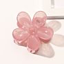 Rara 7Cm Ins Hair Accessories Fashionable Daisy Hair Clip Flower Medium Plastic Hair Claw