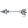 Different Styles Nipple Rings Stainless Steel Body Jewelry Ear Bar Barbell Piercings Earrings Nipple Shield Barbell