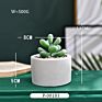 Green Individual Mini Faux Fake Artificial Succulent Cactus Plant Bonsai Succulent Assorted Set