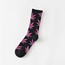 Professional Colorful Tube Sports Socks Bamboo Maple Leaf Socks Design Hemp Weed Leaf Socks