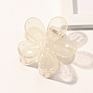 Rara 7Cm Ins Hair Accessories Fashionable Daisy Hair Clip Flower Medium Plastic Hair Claw