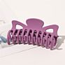 Sp Arrived Matt Style Hair Claws Many Colors Resin Made Acetate Hair Clip Claw for Ladies