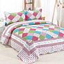 3 Pcs Machine Washable Printing Cotton Quilts Bedding Sets Quilt with Queen King Different Sizes