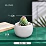 Green Individual Mini Faux Fake Artificial Succulent Cactus Plant Bonsai Succulent Assorted Set
